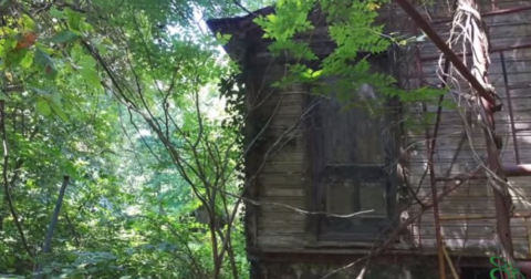 This Creepy Spot Deep In The Woods Of Maryland Is Like Something Out Of A Horror Movie