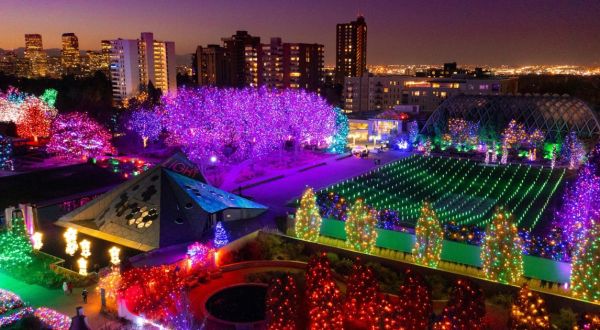 The Garden Christmas Lights Display At Denver Botanic Gardens In Colorado Is Pure Holiday Magic
