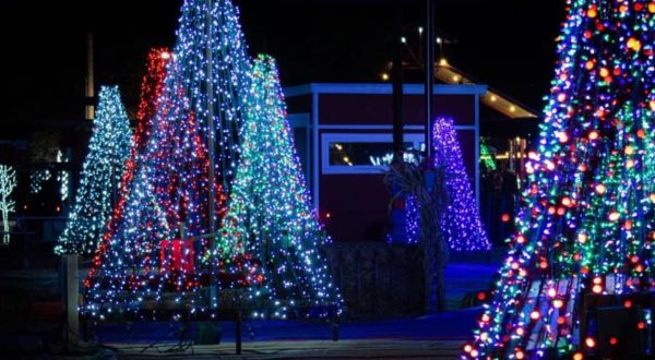 Arizona’s Largest Walk-Through Christmas Light Show, Lights At The Farm, Will Make Your Holiday Season Magical
