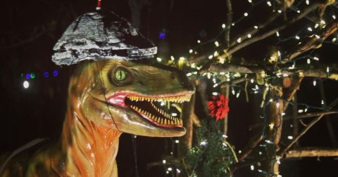 This Dinosaur-Themed Christmas Lights Display In Arkansas Will Make Your Holiday Season Magical