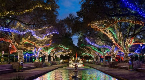 This Texas Zoo Has One Of The Most Spectacular Christmas Light Displays You’ve Ever Seen
