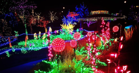 The Garden Christmas Light Displays At The Gardens On Spring Creek In Colorado Is Pure Holiday Magic