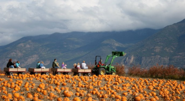 Go Pumpkin Picking, Then Sleep In A Cabin Surrounded By Fall Foliage On This Weekend Getaway In Montana