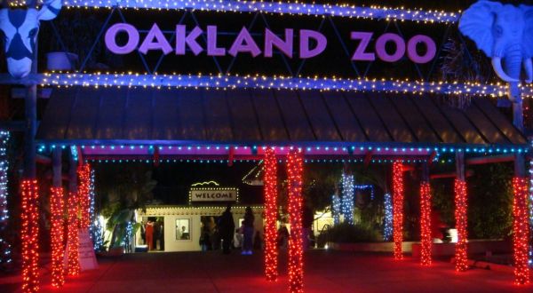 This Northern California Zoo Has One Of The Most Spectacular Christmas Light Displays You’ve Ever Seen