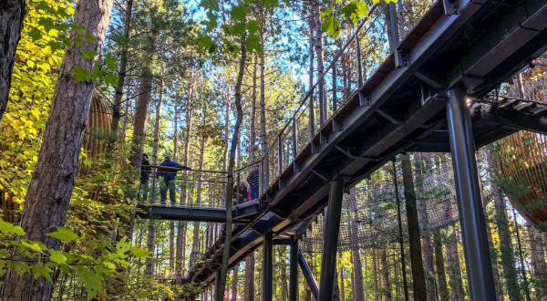 6 Amazing Treetop Adventures You Can Only Have In Michigan