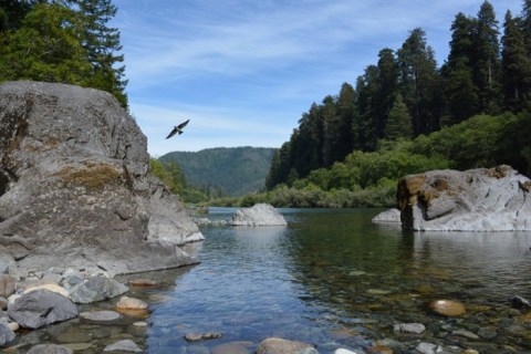 7 Secluded Northern California Campgrounds That Are Great For a Relaxing Getaway