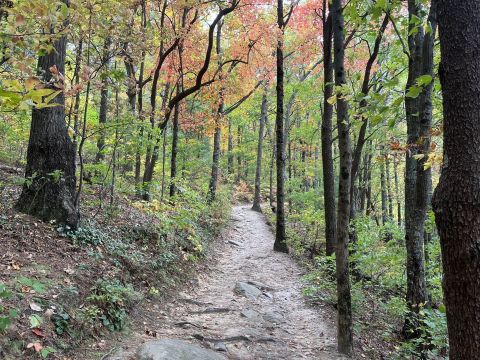 There's Almost Nothing A Hike In Georgia Nature At Fort Mountain State Park Can't Cure
