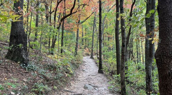 There’s Almost Nothing A Hike In Georgia Nature At Fort Mountain State Park Can’t Cure