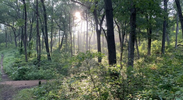 There’s Almost Nothing A Hike In Indiana Nature At Indiana Dunes National Park Can’t Cure