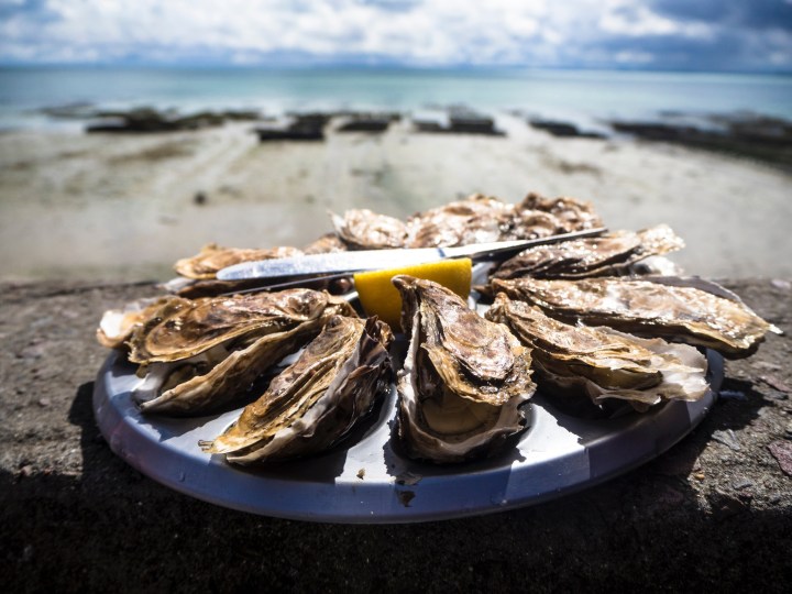 Plate of oysters with Lewes Beach in the background. Lewes Oyster House in Lewes, Delaware is a classic stop on Delaware's Culinary Coast - a trail of cities down the Atlantic Coast with award-winning restaurants.