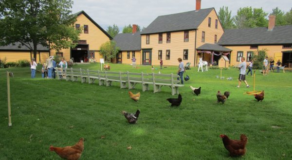 Here Are 3 Farm Parks In New Hampshire That Make Excellent Family Day Trip Destinations