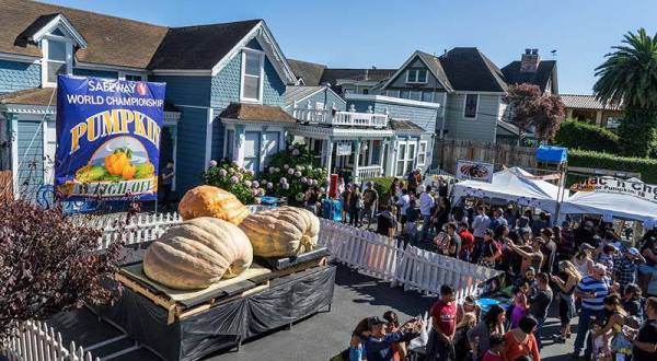 The Half Moon Bay Art & Pumpkin Festival In Northern California Is A Classic Fall Tradition