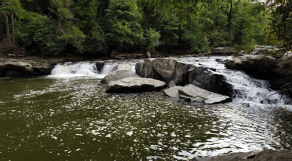 Hike Though Maryland’s Swallow Falls State Park Then Dine At Ace’s Run Restaurant
