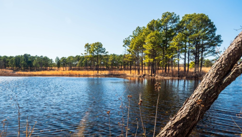 There's A Little-Known Nature Preserve Just Waiting For Oklahoma Explorers