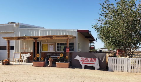 Play With Goats, Pet Some Potbelly Pigs, Then Grab Ice Cream In The Charming Town Of Mesa, Arizona