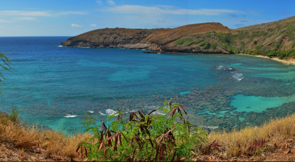 There’s A Little-Known Nature Trail Just Waiting For Hawaii Explorers