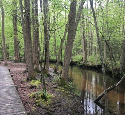 There's A Little-Known Nature Trail Just Waiting For Delaware Explorers
