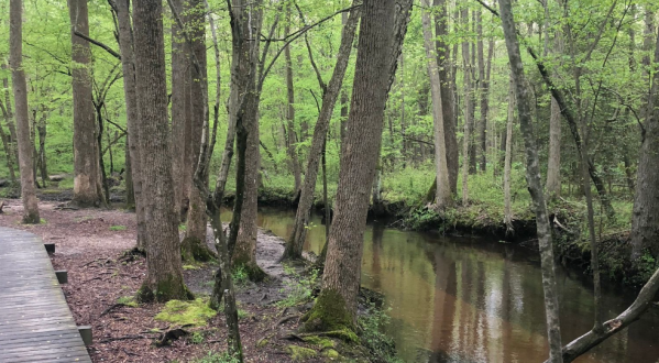 There’s A Little-Known Nature Trail Just Waiting For Delaware Explorers