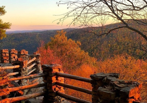 These 3 West Virginia Forest Trails Will Bring Out Your Adventurous Side