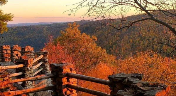 These 3 West Virginia Forest Trails Will Bring Out Your Adventurous Side