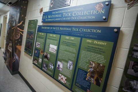 It's Bizarre To Think That Georgia Is Home To The World's Largest Collection Of Ticks, But It's True