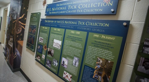 It’s Bizarre To Think That Georgia Is Home To The World’s Largest Collection Of Ticks, But It’s True