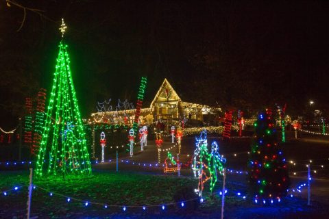 Experience A Wonderland Of Dazzling Lights At Alabama's Christmas At The Falls