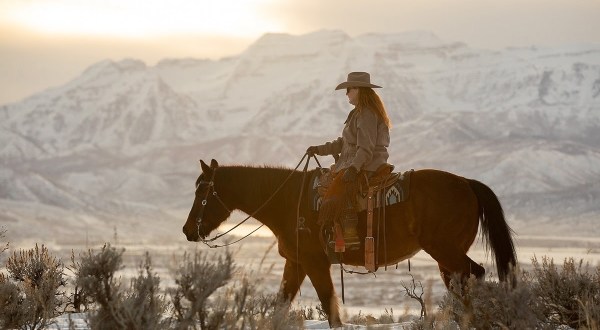 Enjoy A Trail Ride With KB Horses And Experience Utah At Its Wildest And Most Wonderful
