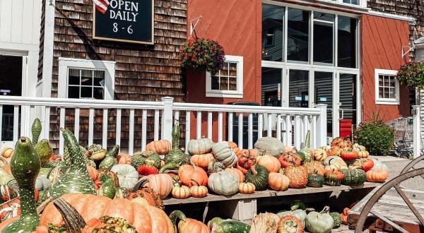 The 5 Best Places In Massachusetts To Get Your Apple Cider Donut Fix This Fall