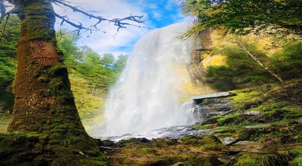 Don’t Let These Stunning Views Fool You, The Golden and Silver Falls Trail In Oregon Is Actually An Easy Hike