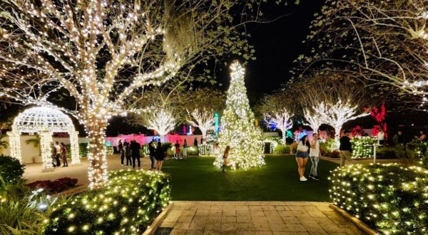 The Garden Christmas Light Display At Florida Botanical Gardens Is Pure Holiday Magic
