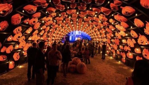 This Is The Absolute Best Town In New Jersey To Visit During The Halloween Season
