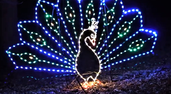 This Animal-Themed Christmas Lights Display In Maryland Will Make Your Holiday Season Magical