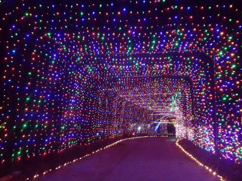 This Larger-Than-Life Drive-By Christmas Lights Display In Missouri Will Make Your Holiday Season Magical