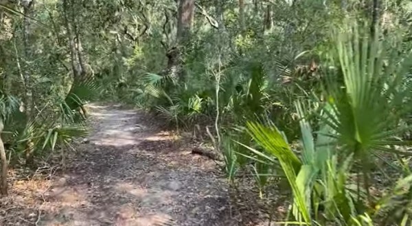 There’s A Little-Known Nature Trail Just Waiting For South Carolina Explorers