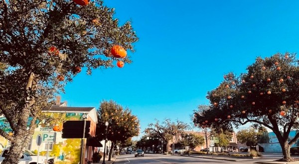 This Is The Absolute Best Town In South Carolina To Visit During The Halloween Season