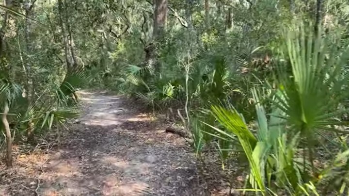 Nature Trail Waiting for Explorers in South Carolina