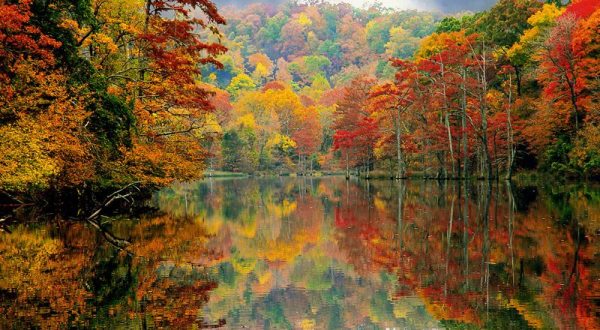 This Oklahoma Canoe Ride Leads To The Most Stunning Fall Foliage You’ve Ever Seen