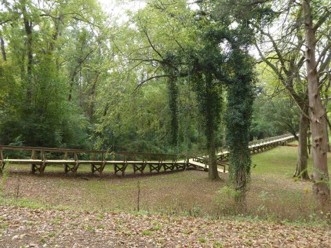 The One Footbridge Hike In Texas That Looks Like Something From Tarzan