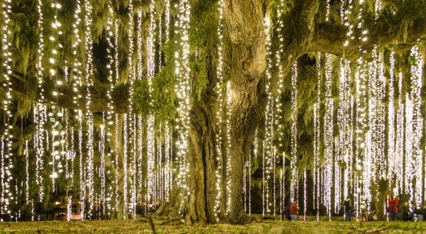 The Garden Christmas Light Displays At Brookgreen Gardens In South Carolina Are Pure Holiday Magic