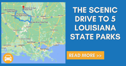 Take This Scenic Route And Drive Through 5 Louisiana State Parks In One Day