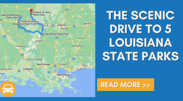 Take This Scenic Route And Drive Through 5 Louisiana State Parks In One Day