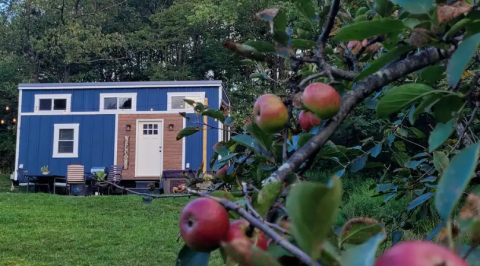 There's A Tiny Airbnb Hidden In A Wild Apple Orchard In Maryland