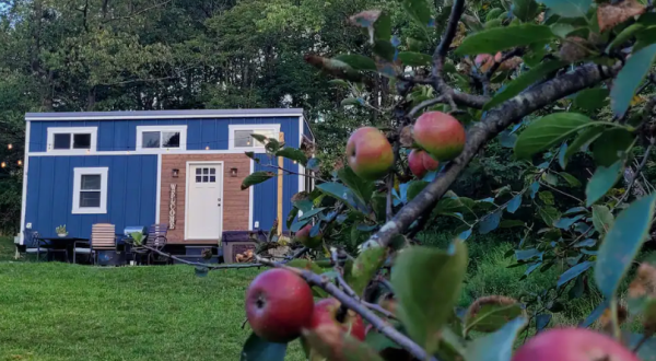 There’s A Tiny Airbnb Hidden In A Wild Apple Orchard In Maryland