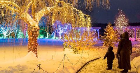 The Garden Christmas Light Displays At Tower Hill Botanic Garden In Massachusetts Is Pure Holiday Magic