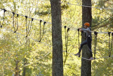 5 Amazing Treetop Adventures You Can Only Have In Alabama