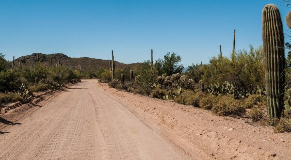 The Gorgeous Bajada Loop Drive Will Show You A Whole New Side Of Arizona’s Saguaro National Park