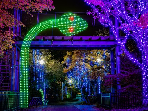 This Nature-Themed Christmas Lights Display In Pennsylvania Will Make Your Holiday Season Magical