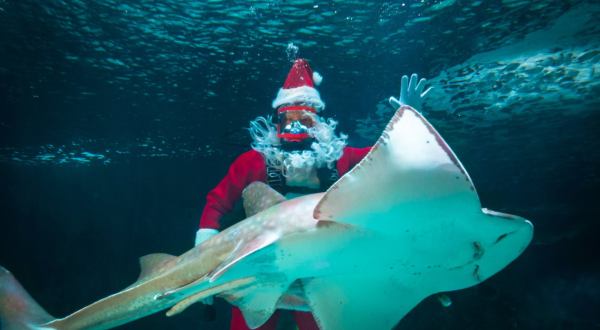 The Kentucky Christmas Celebration Where You Can Visit With A Scuba Diving Santa
