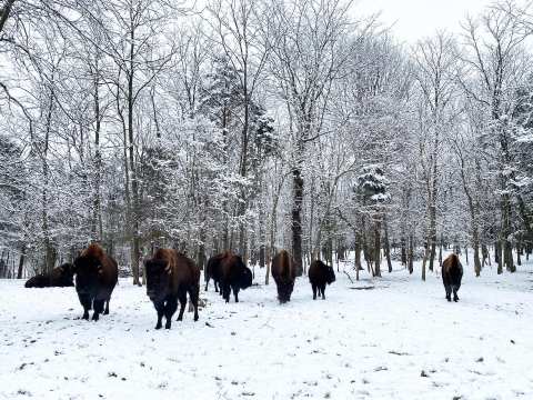 7 Kentucky Day Trips That Are Even Cooler During The Winter